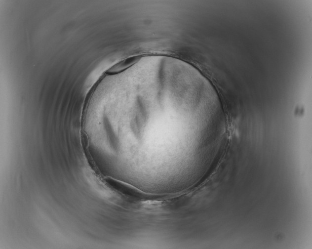 X0000113130052200909251249