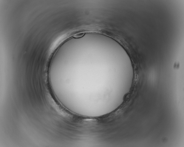 X0000113130053200909251249