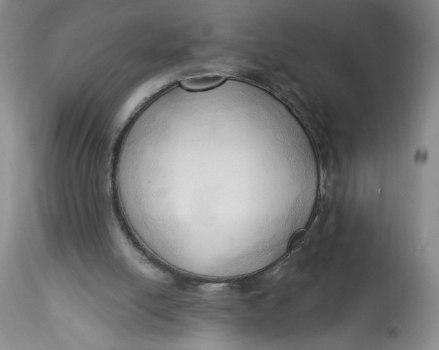 X0000113130054200909251249