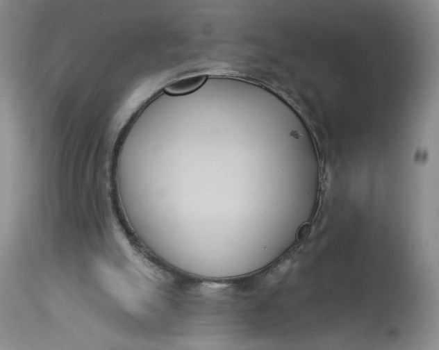 X0000113130055200909251249