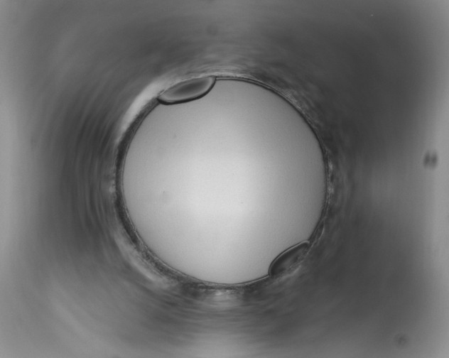 X0000113130056200909251249