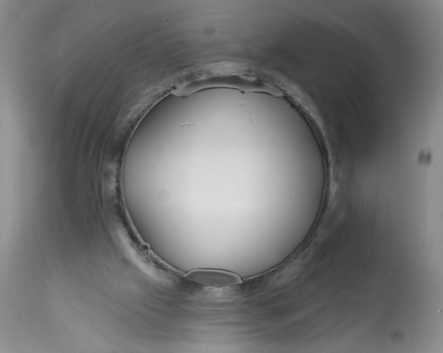 X0000113130057200909251249