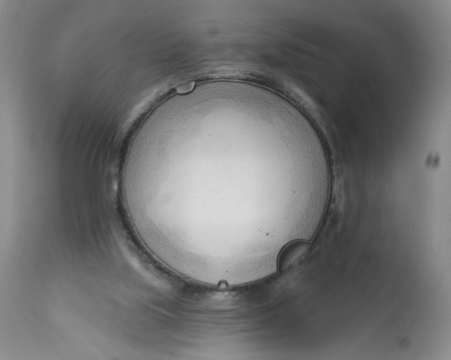 X0000113130059200909251249