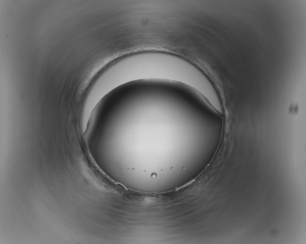 X0000113130060200909251249