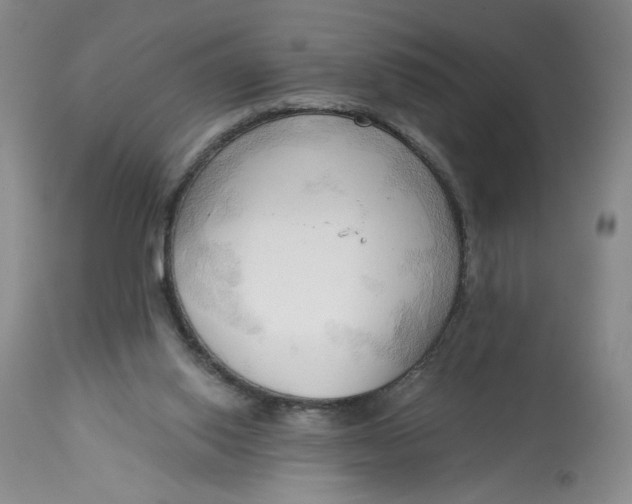 X0000113130062200909251249