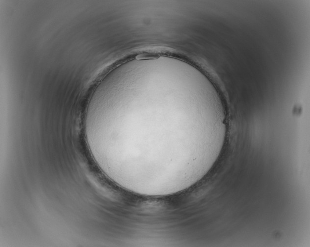 X0000113130063200909251249