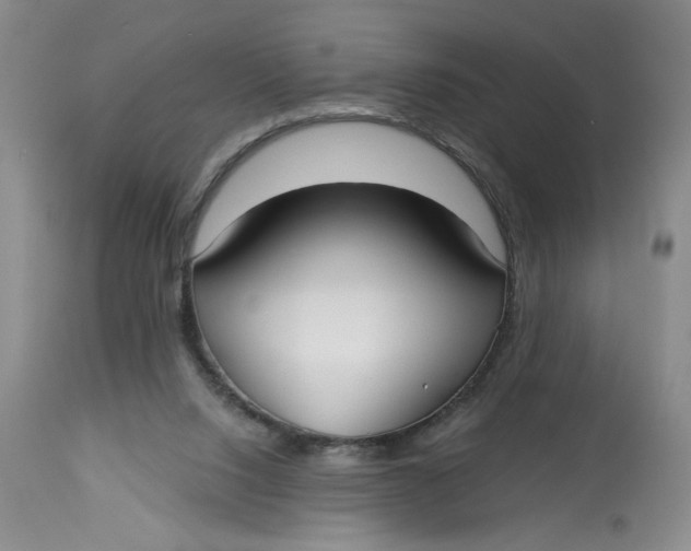 X0000113130064200909251249