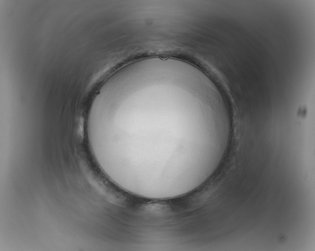 X0000113130067200909251249