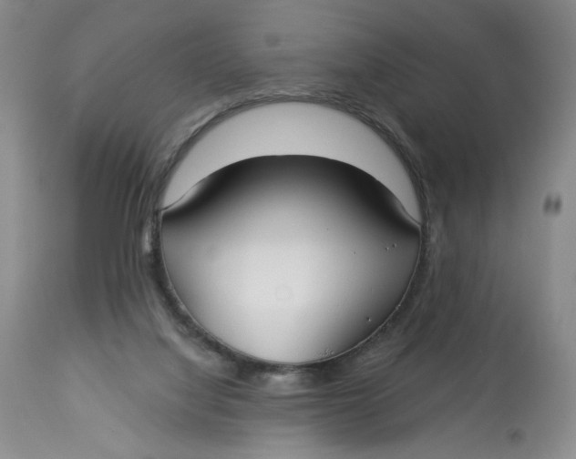 X0000113130068200909251249