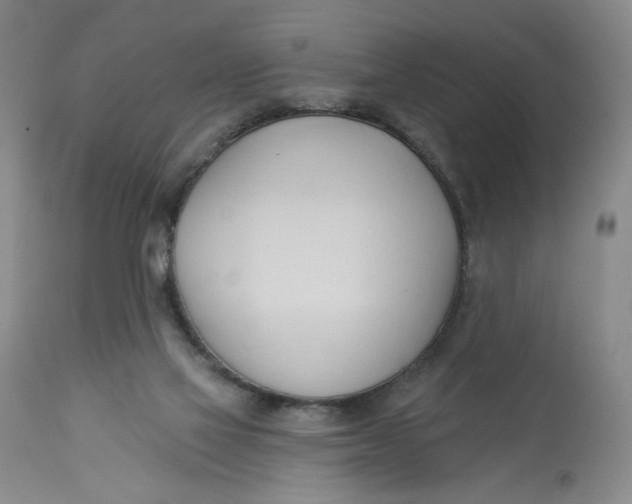 X0000113130069200909251249