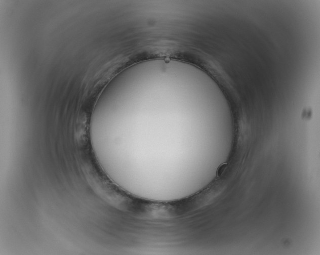 X0000113130073200909251249