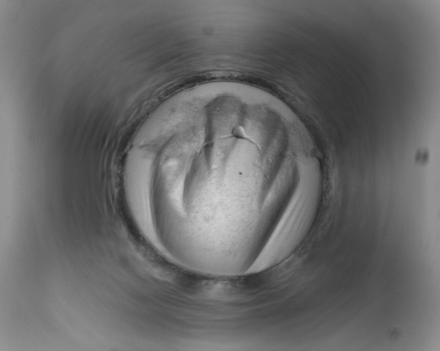 X0000113130074200909251249