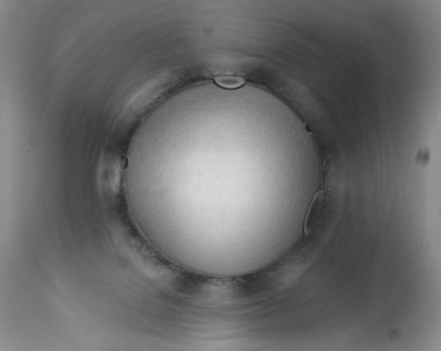 X0000113130076200909251249