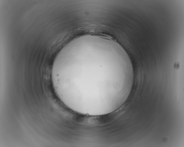 X0000113130078200909251249