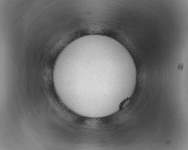 X0000113130079200909251250