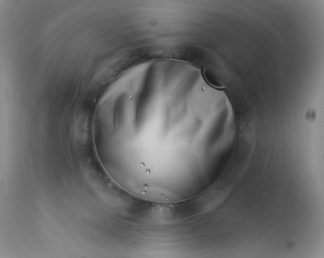 X0000113130080200909251250