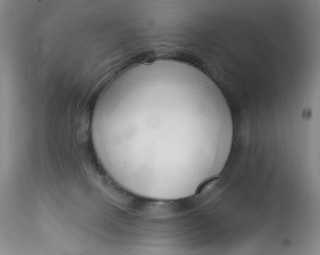 X0000113130082200909251250