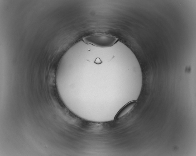 X0000113130083200909251250