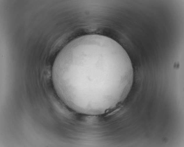 X0000113130085200909251250