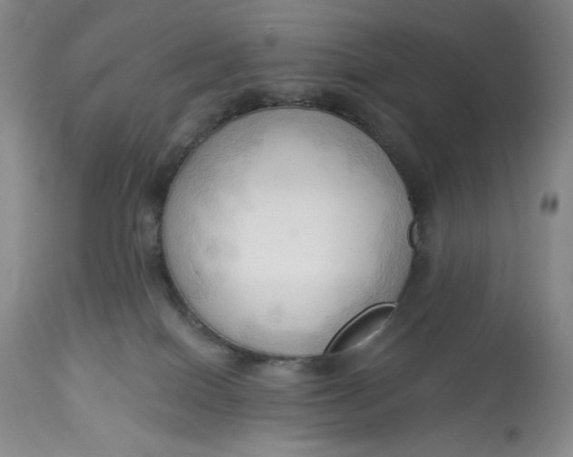 X0000113130086200909251250