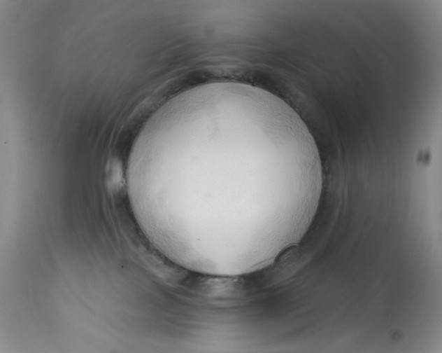 X0000113130089200909251250