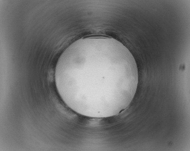 X0000113130090200909251250