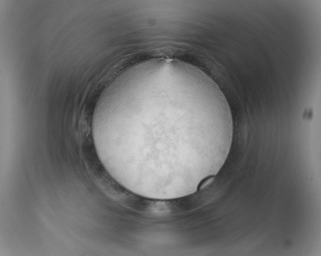 X0000113130091200909251250