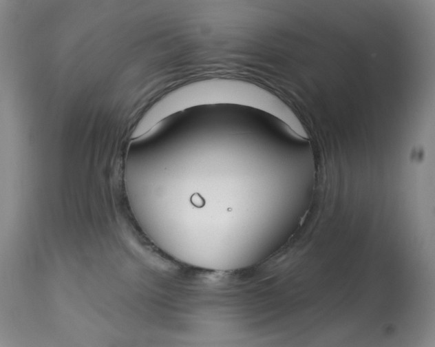 X0000113130092200909251250