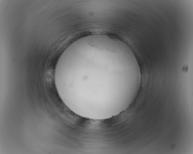 X0000113130093200909251250