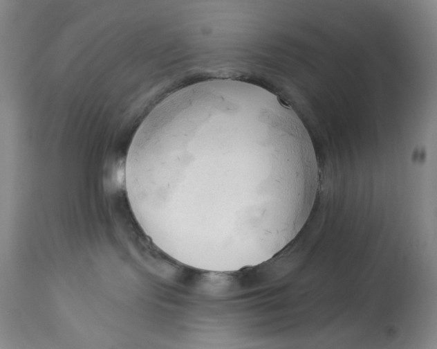 X0000113130095200909251250