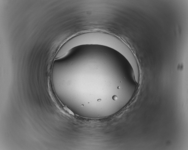 X0000113130097200909251249