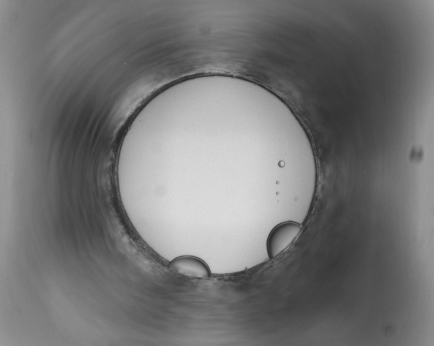 X0000113130098200909251249