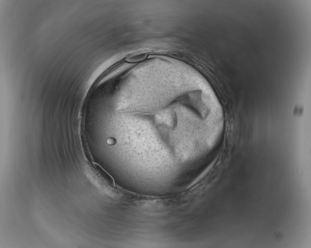 X0000113130100200909251249