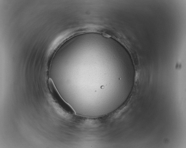 X0000113130101200909251249