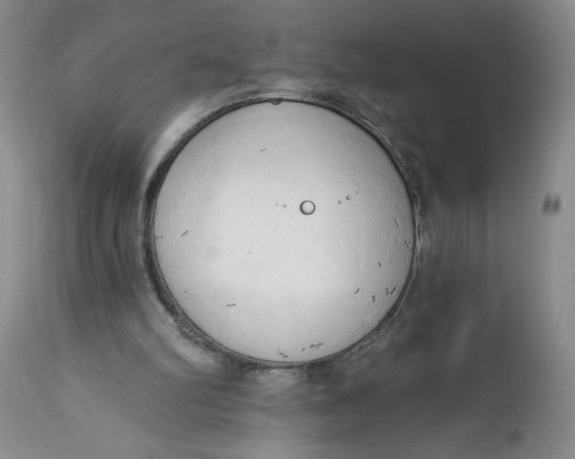 X0000113130102200909251249