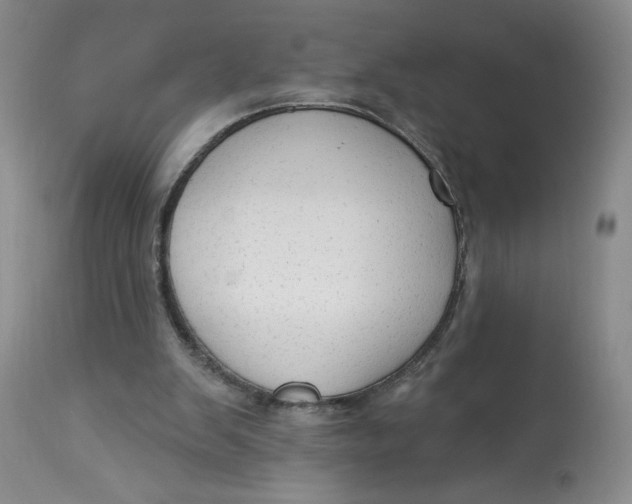 X0000113130103200909251249