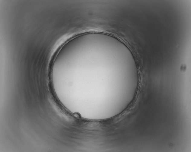 X0000113130104200909251249