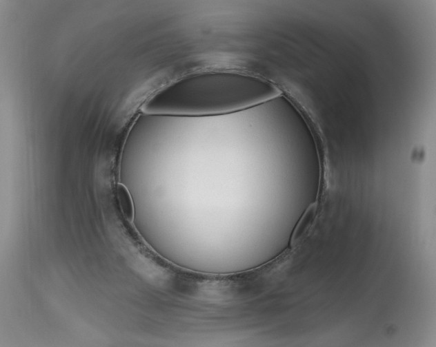 X0000113130105200909251249