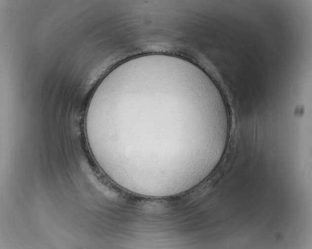 X0000113130106200909251249