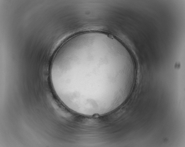 X0000113130107200909251249