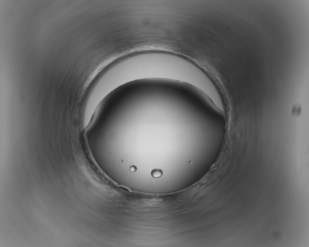 X0000113130108200909251249