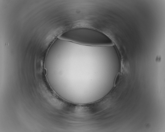 X0000113130109200909251249