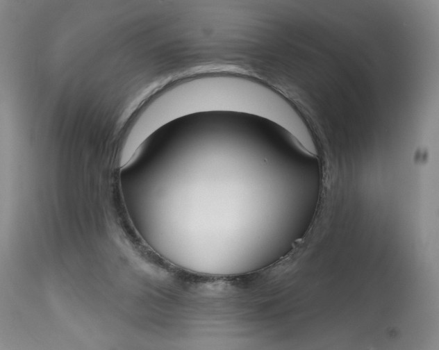 X0000113130112200909251249