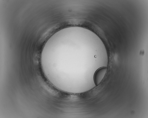 X0000113130114200909251249