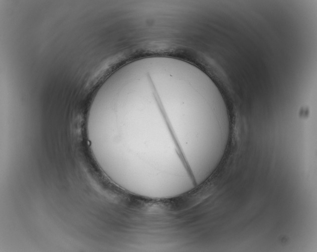 X0000113130115200909251249