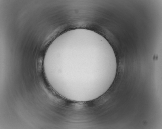 X0000113130118200909251249