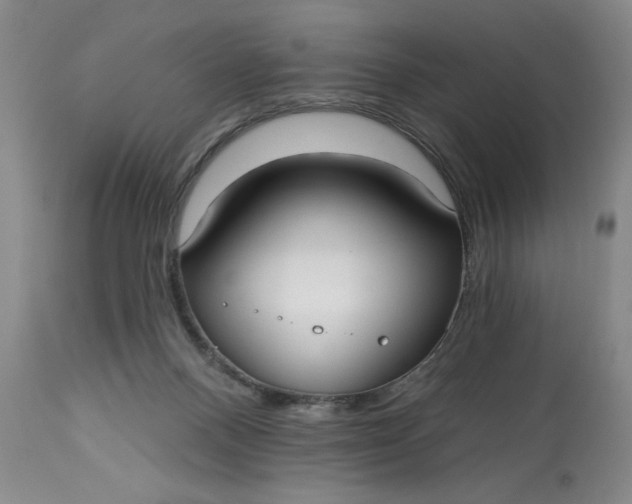 X0000113130120200909251249