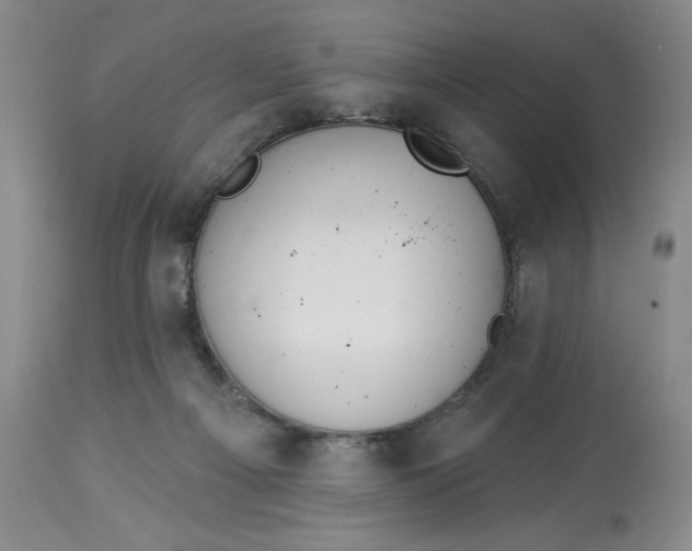 X0000113130121200909251249