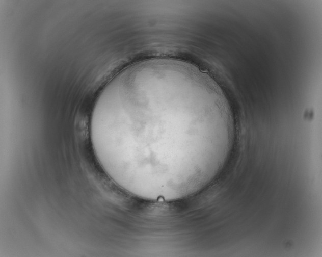 X0000113130123200909251249