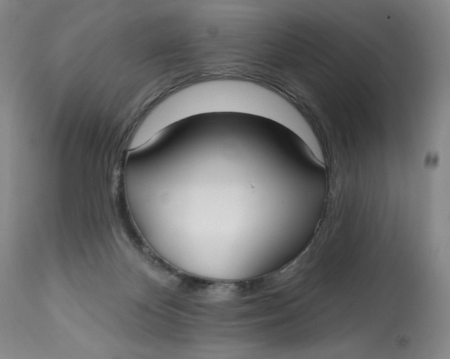 X0000113130124200909251249